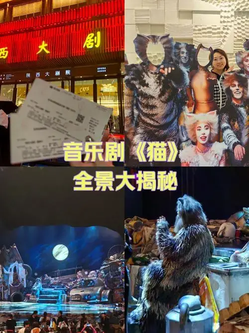 音乐剧《猫》剧院全景大揭秘