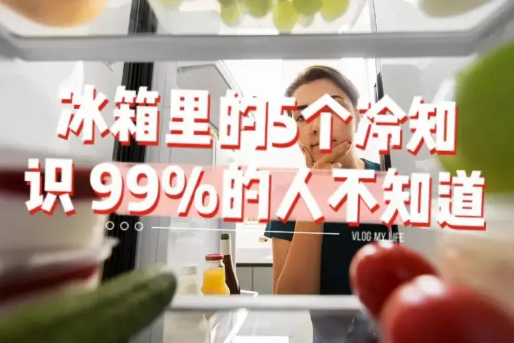 冰箱里的5个冷知识99的人都不知道