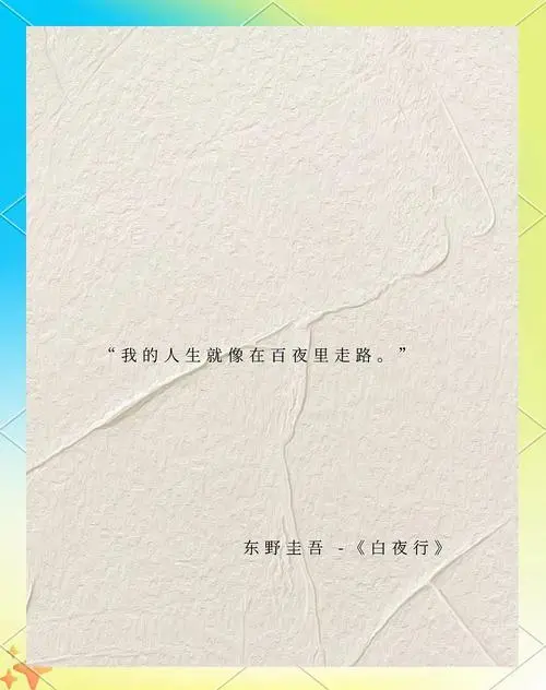 东野圭吾《白夜行》:深渊中的爱情与守护
