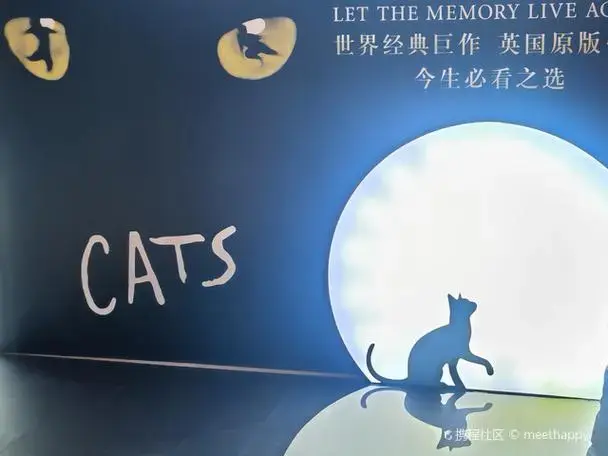 循环播放猫女格里赛拉贺拉斯特拉(grizabella)唱的《memory》这首歌!