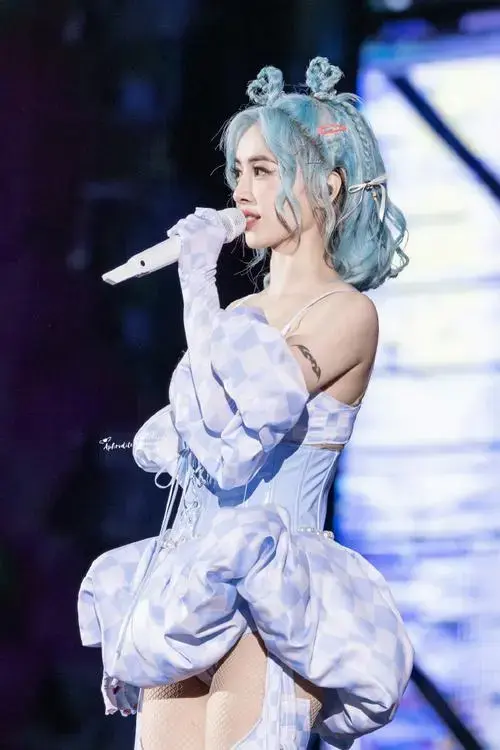 蔡依林演唱会