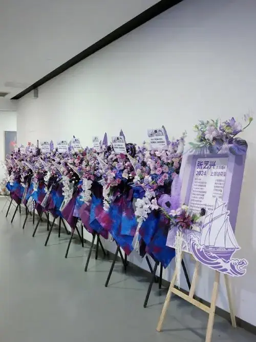张艺兴演唱会粉丝应援