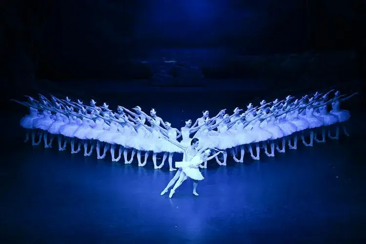 上海大剧院,上海芭蕾舞团演员在演出上芭经典版《天鹅湖》的精彩片段
