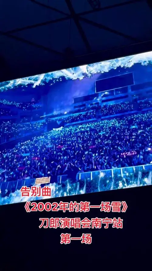 刀郎演唱会南宁站《2002年的第一场雪》