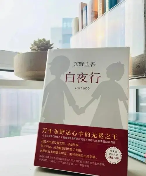 《白夜行》:推理爱情巅峰 强烈推荐东野圭吾的经典之作《白夜行》!