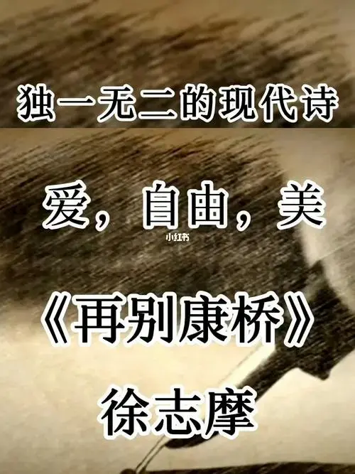 《再别康桥》徐志摩_朗诵_现代诗_文化_阅读