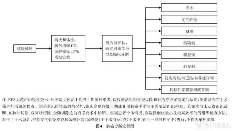 中华医学会肺癌临床诊疗指南(2024版)