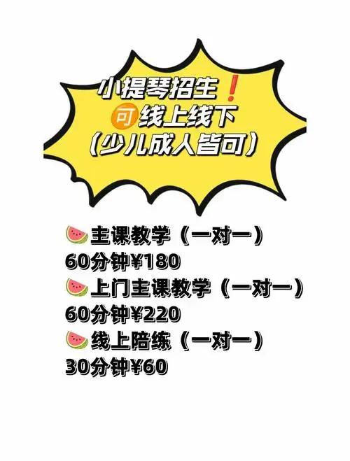 13岁便考取了中国音乐学院与中国音乐协会的小提琴十级证书,同时荣获