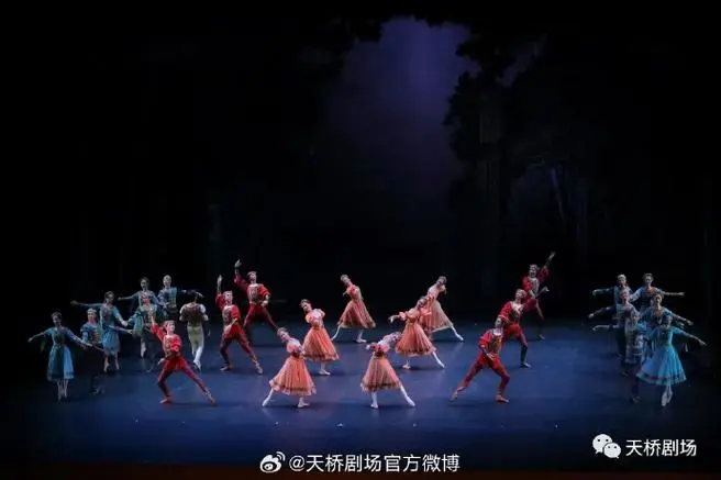 《天鹅湖》是古典芭蕾舞剧中的传世佳作,凭借非凡的艺术价值久演不衰