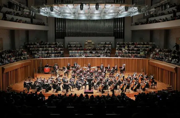 🎶北京国家大剧院音乐会体验指南🎻 🎫 想要在北京享受一场沉浸
