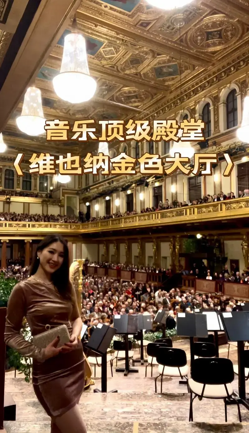 维也纳金色大厅/顶级音乐殿堂/音乐之都.