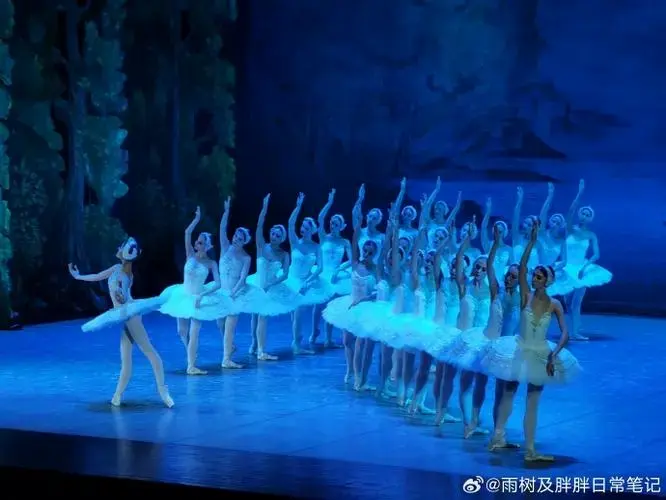 20241004
在魔都(255):上海东方艺术中心.