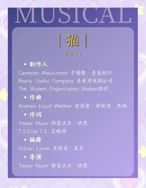 🎭《猫》音乐剧:永恒的经典之夜