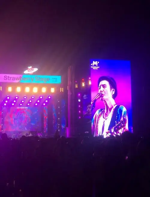 朴树演唱会:从舞台到心灵的震撼之旅
