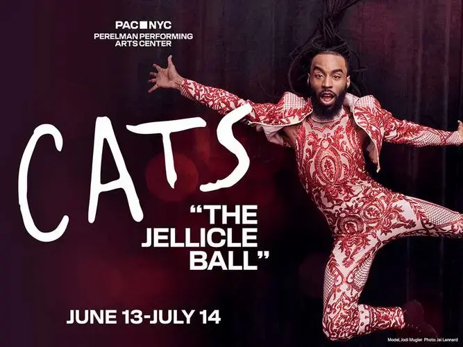 世界经典音乐剧《猫》cats就要来深圳了!