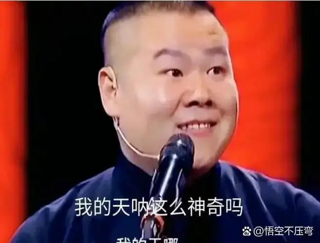 作为德云社顶流,有人给岳云鹏算了笔账,说他一年下来收入得一个小目标