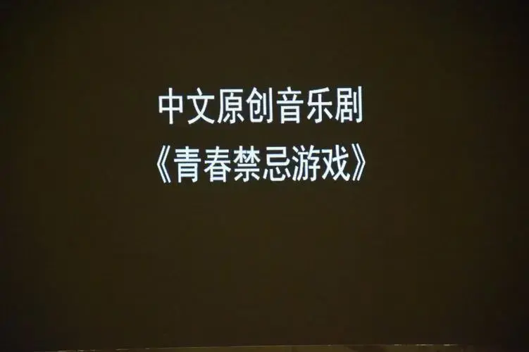 音乐剧《青春禁忌游戏》