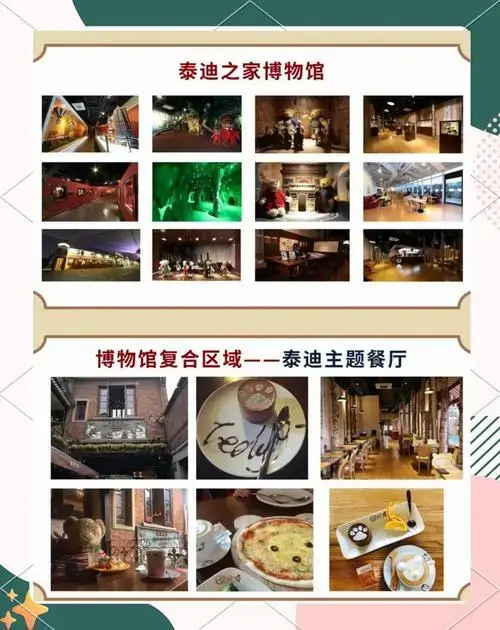 泰迪熊的奇妙世界:从玩具到收藏品