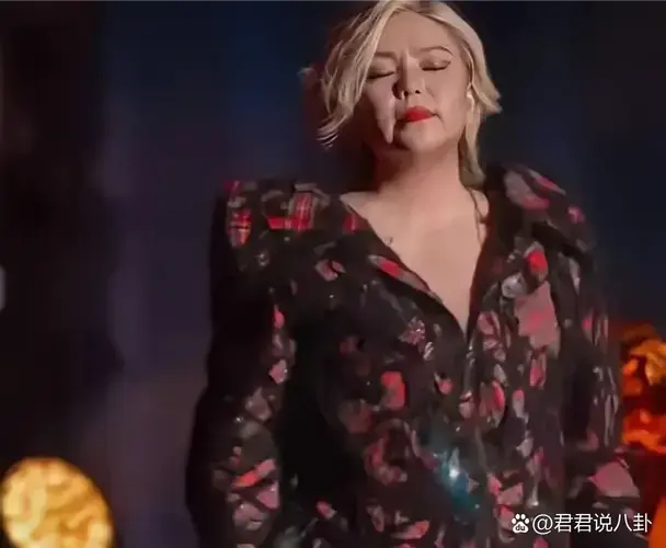 上海的夜空,被张惠妹的歌声点燃,也点燃了无数歌迷的热情.