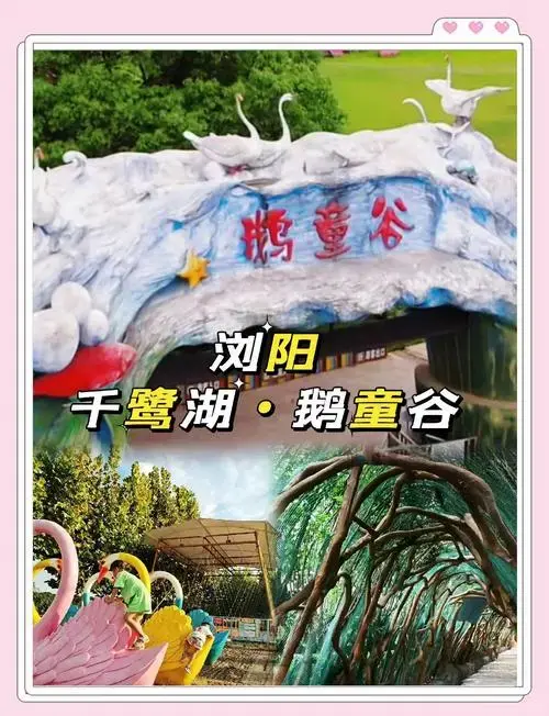 千鹭湖鹅童谷,亲子游新去处!
