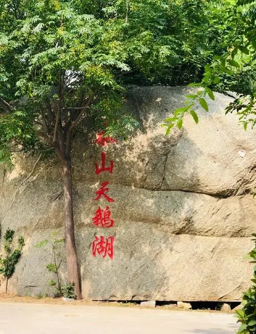 泰安天鹅湖亲子游全攻略