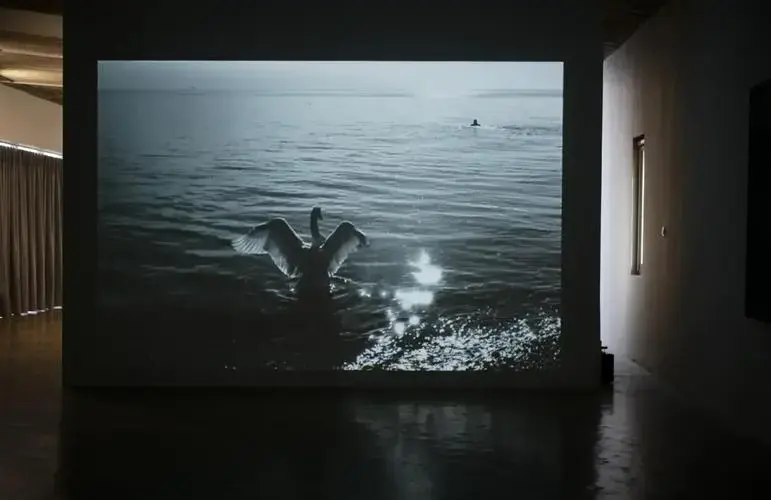 瑞士森林展,沉浸式体验自然