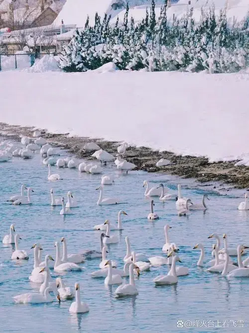 各种