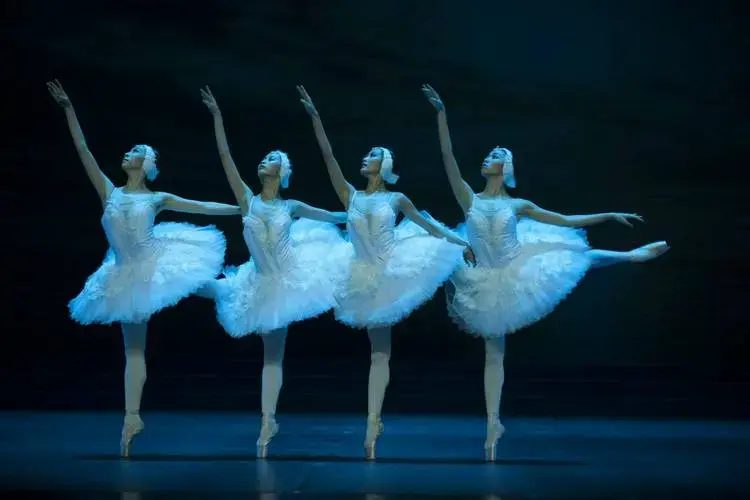世界经典芭蕾舞剧《天鹅湖》在厦上演_观众_量身定制_马拉霍夫