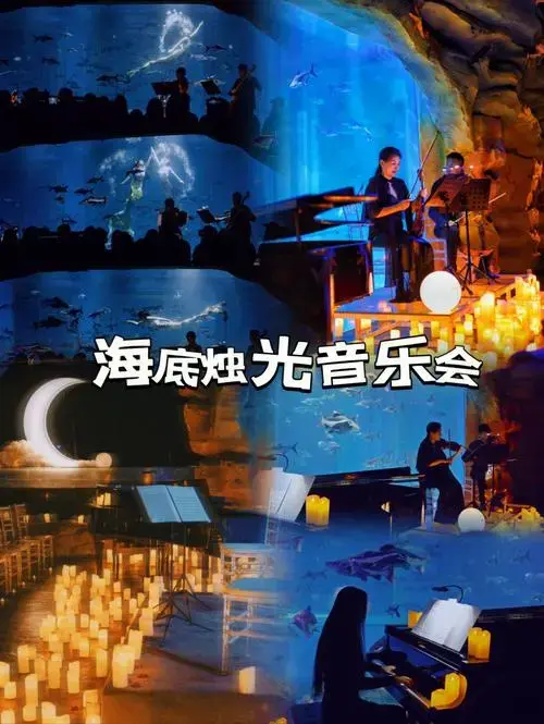 深圳首家海底烛光音乐会,开启音乐浪漫之旅