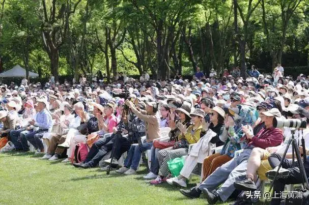 2025上海城市草坪音乐会启幕,还有老字号专属优惠等你来!
