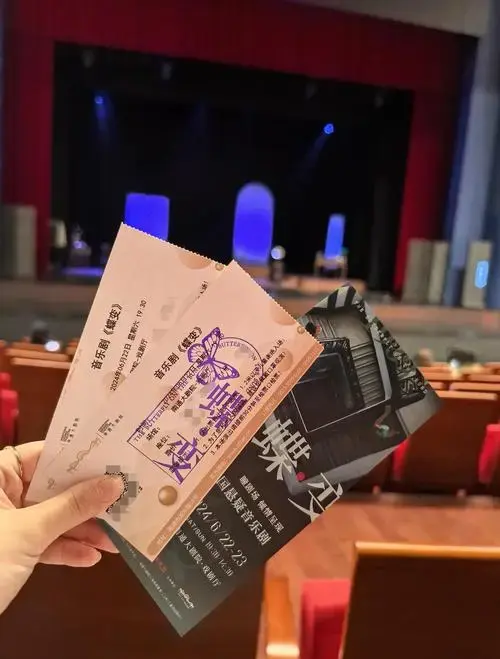 《蝶变》音乐剧:视听盛宴