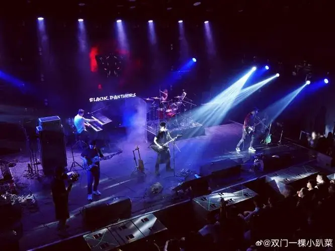 黑豹乐队2024巡演舞台