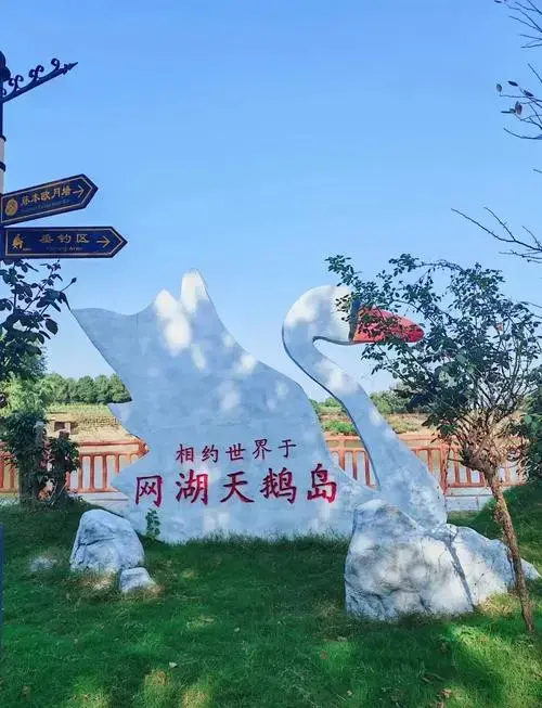阳新网湖天鹅岛:亲子游的绝佳选择