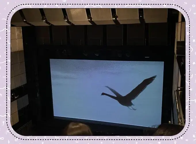 🦢 看了这版《天鹅湖》,直女也能变弯了!