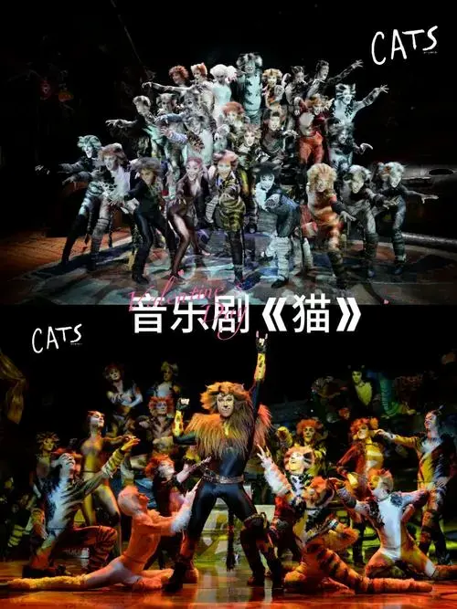 谁懂音乐剧《猫》全国巡演的含金量🔭