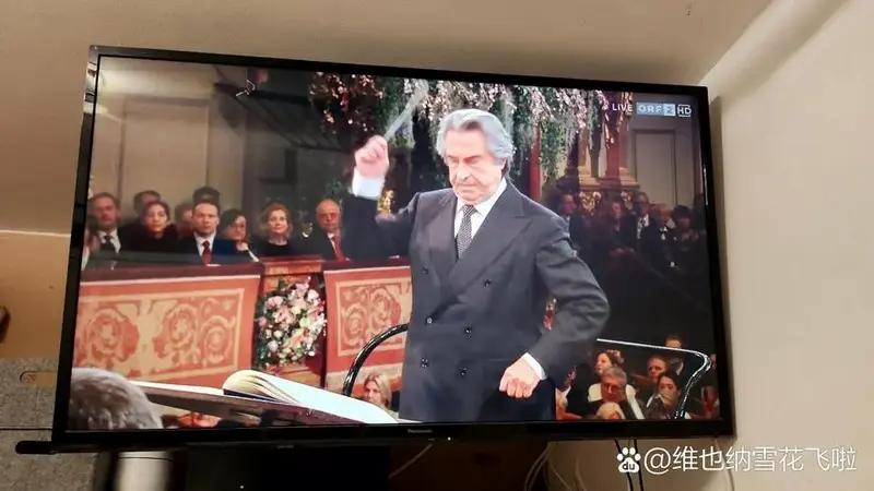 2025维也纳新年音乐会的指挥家是国际乐坛著名指挥大师之一,里卡尔多