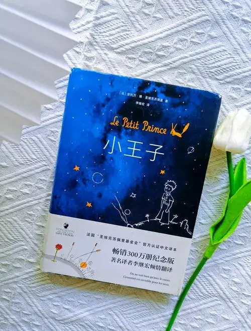 《小王子》不仅仅是一本童话书,它是一部关于成长,爱与责任的心灵寓言
