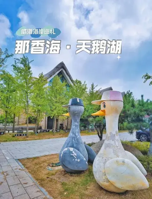 威海荣成天鹅湖:夏日避暑冬观鸟