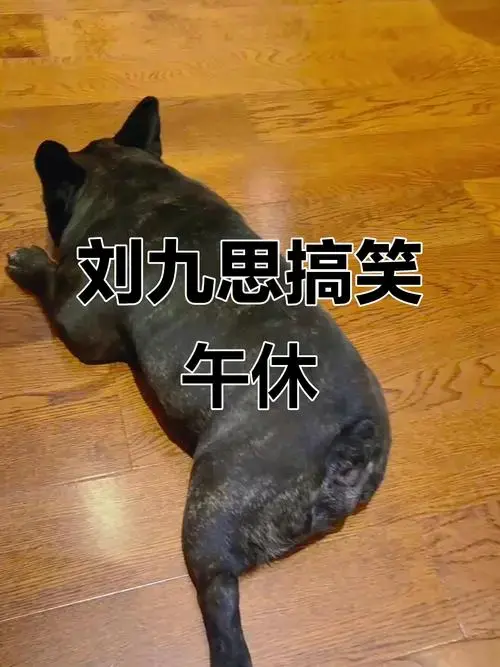 德云社刘九思幽默午睡,斧头帮大哥霸气登场