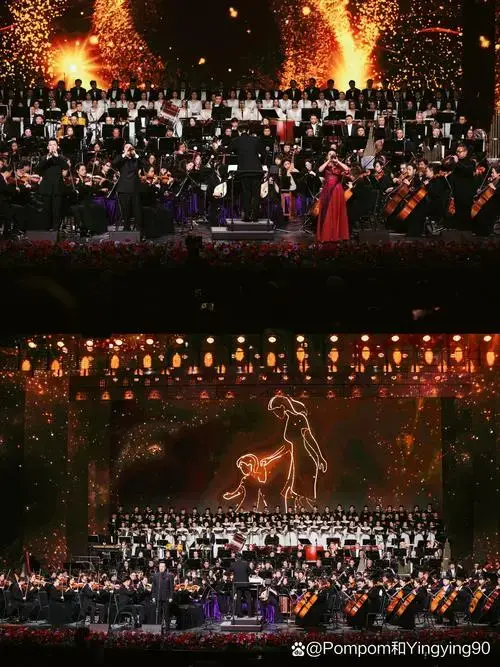 2024听场交响乐,新年仪式感拉满
经历了战火的洗礼,维也纳在岁末举办
