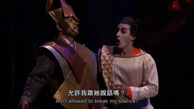 14 莫扎特《魔笛》大都会歌剧院 die zauberflöte 2