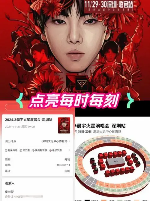 抢到演唱会门票啦