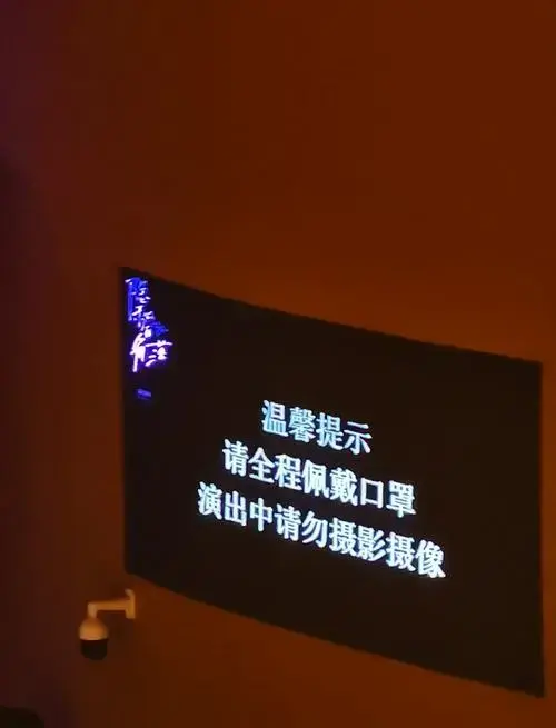 🕰 剧院一般在开演前半个小时就会开始检票入场.而在正式开洋后