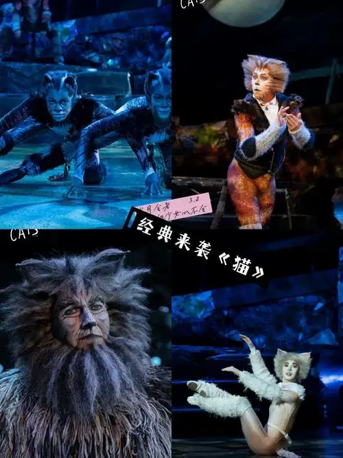 2024年,原版音乐剧《猫》重新回归!\\n谁不为之心动!\\n去邂逅经典!