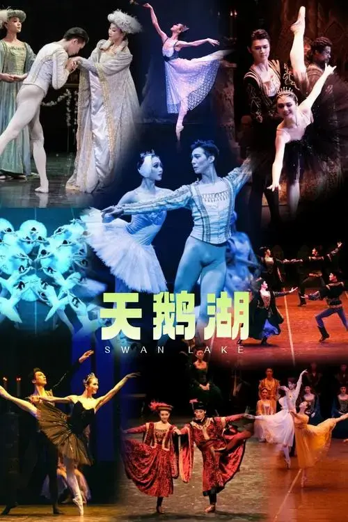 《天鹅湖》在元旦前后上演,美妙的音乐,华丽的舞美,故事感人曲折,🩰