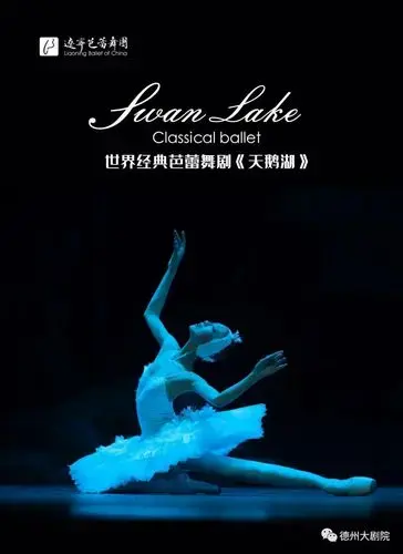 重磅开票辽宁芭蕾舞团首席舞者张海东敖定雯携天鹅湖来袭州城再掀舞蹈