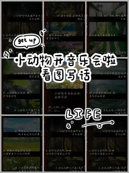 小动物开音乐会啦,看图写话