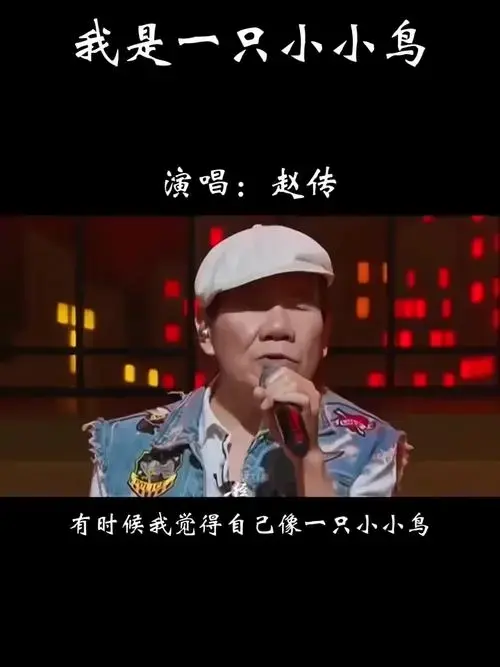 赵传《我是一只小小鸟》