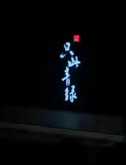 《只此青绿》演出观感:震撼与感动