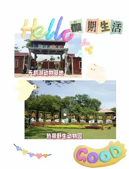 天鹅湖vs热带园,亲子游选哪?